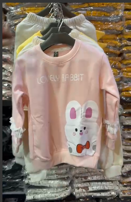 beautiful rabid printed pink  kids suit